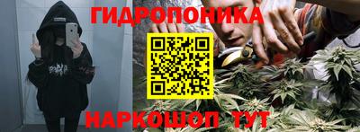 крисы Гай