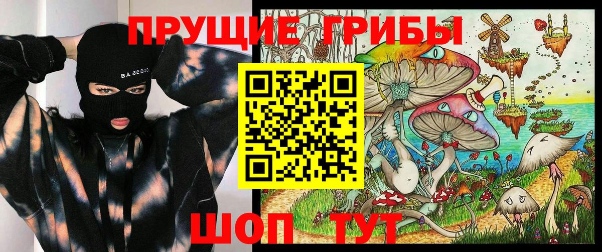 Галлюциногенные грибы Psilocybe Обнинск