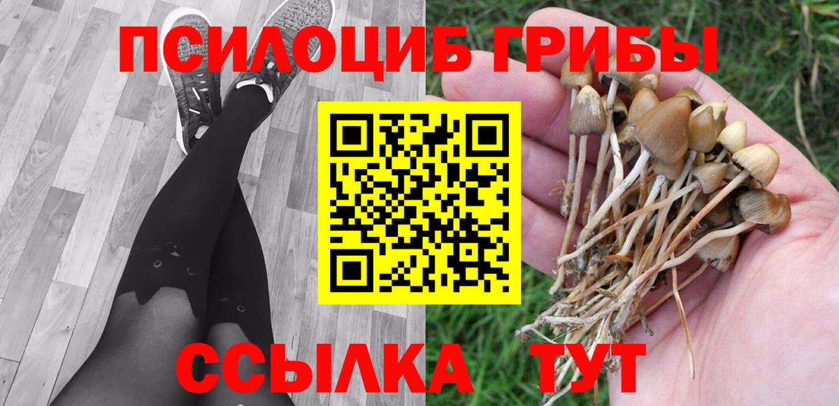 дарнет шоп  Псилоцибиновые грибы Cubensis  Обнинск  Вход с VPN  Псилоцибиновые грибы ЛСД 